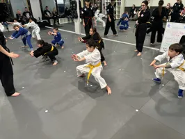 Jr. Martial Arts (Ages 4-6)